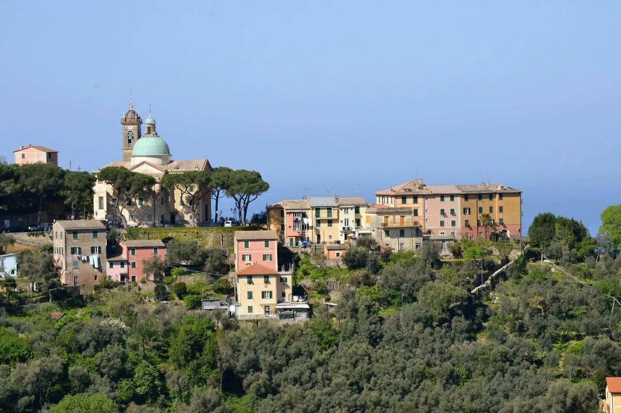 Villa Olivari - Apt Il Cedro Camogli