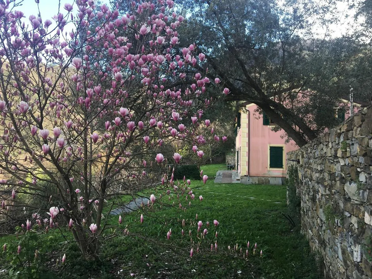 Villa Olivari - Apt Il Cedro Camogli