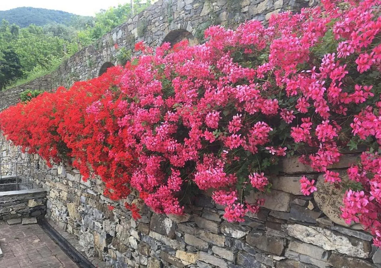 Villa Olivari - Apt Il Cedro Camogli Italy