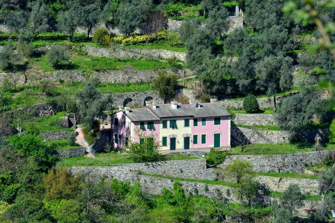 Villa Olivari - Apt Il Cedro Camogli