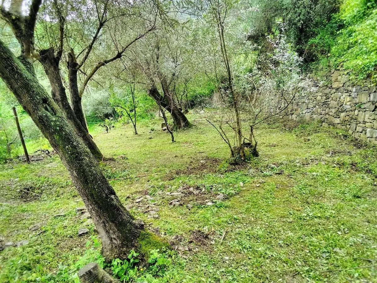 Apartment Villa Olivari - Apt Il Cedro Camogli