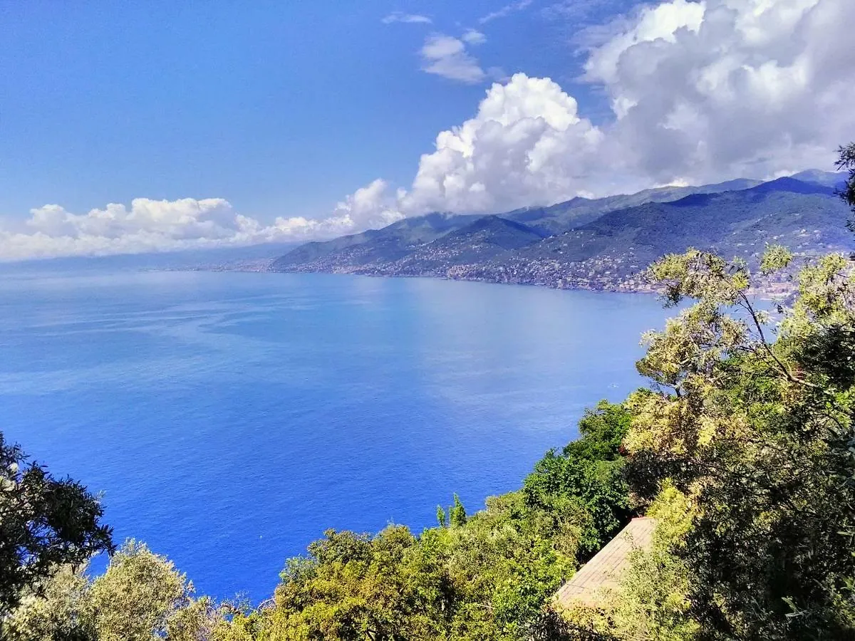Villa Olivari - Apt Il Cedro Camogli 0*,