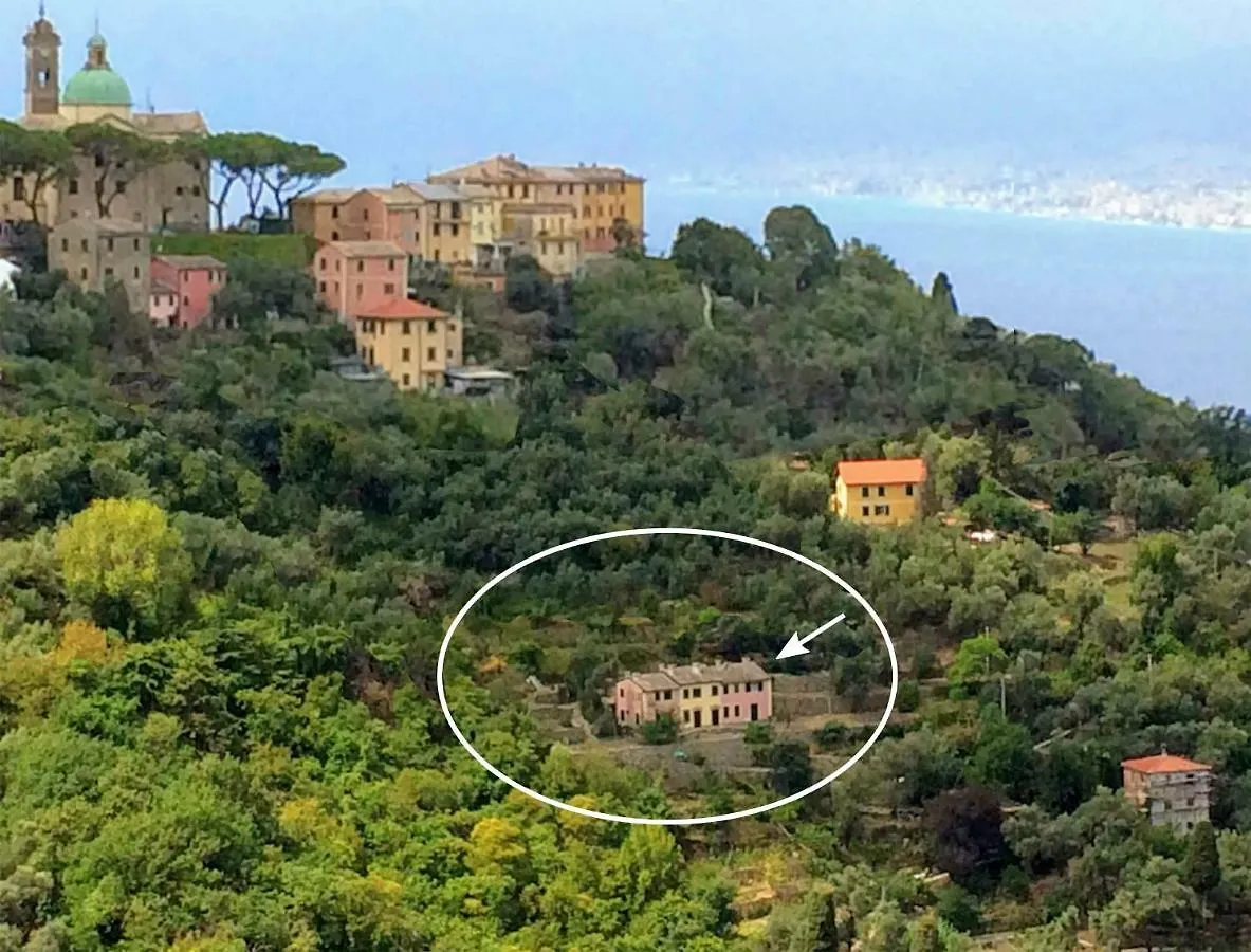 Villa Olivari - Apt Il Cedro Camogli