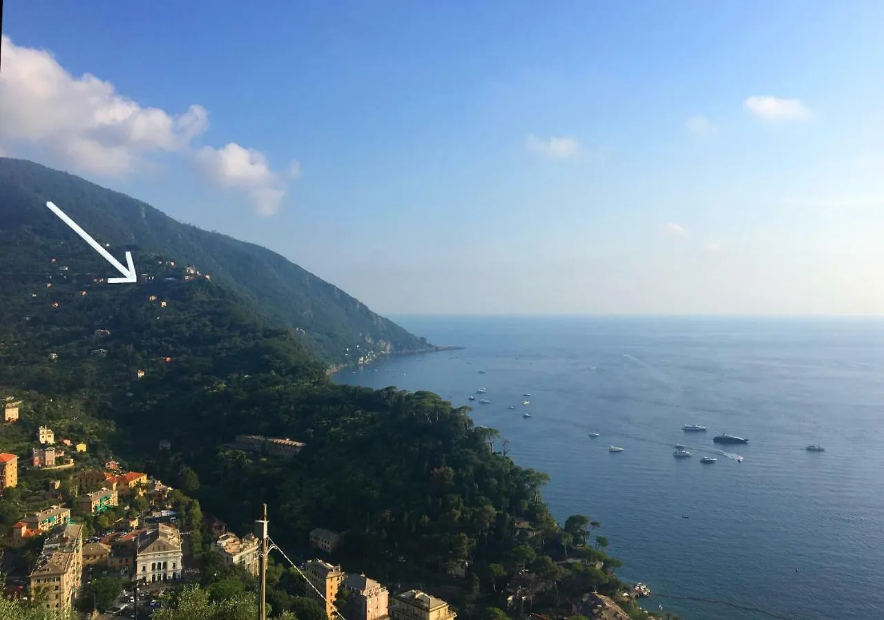Apartment Villa Olivari - Apt Il Cedro Camogli Italy