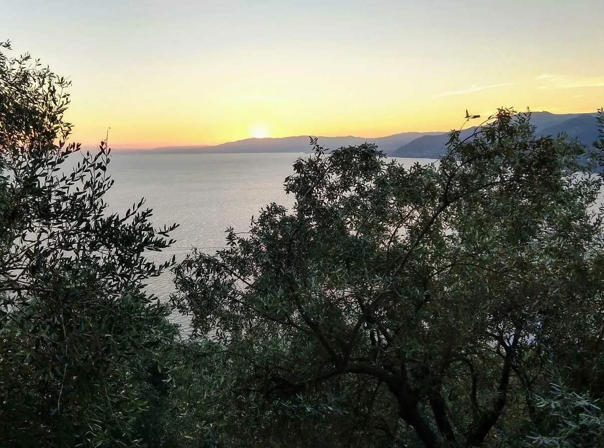 Villa Olivari - Apt Il Cedro Camogli Italy