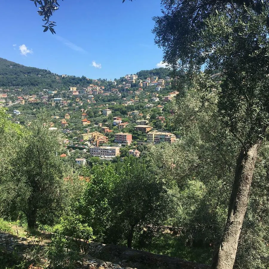 Apartment Villa Olivari - Apt Il Cedro Camogli Italy